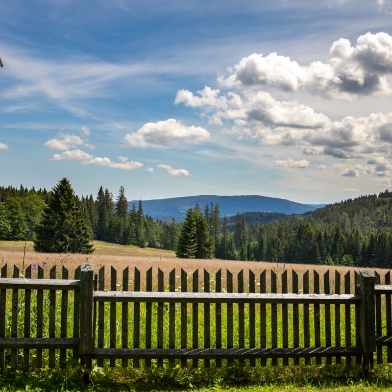 Šumava a Český les